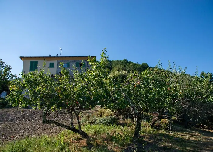 Apartahotel La Beppa - Casa