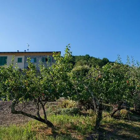 Aparthotel La Beppa - Casa